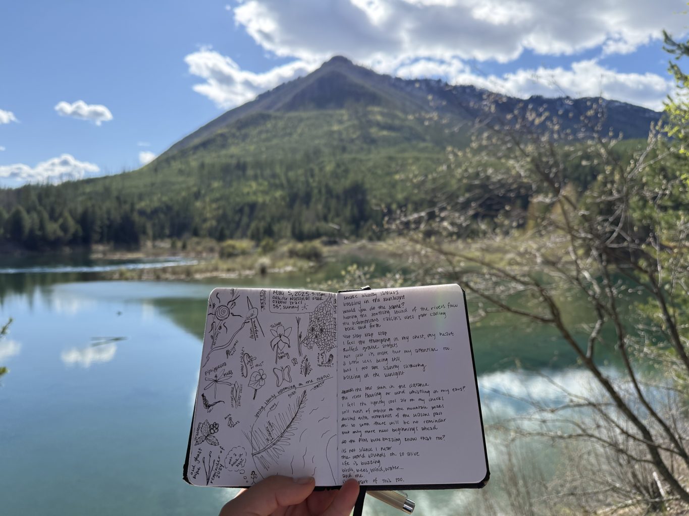 Nature Journal at the Middle Fork Flathead River, next to the Glacier Institute's Field Camp in Glacier National Park