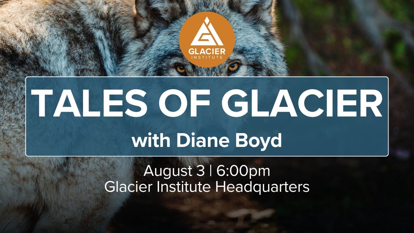 Tales of Glacier National Park - Bears of Montana